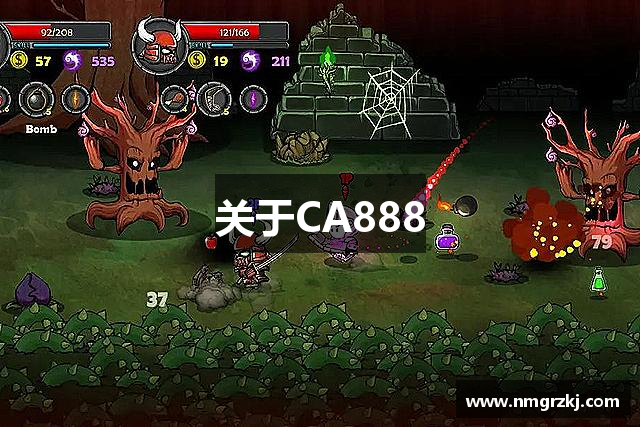 关于CA888